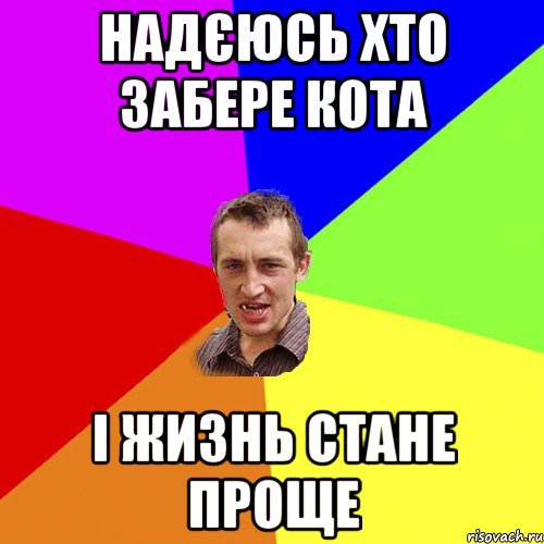 Надєюсь хто забере кота і жизнь стане проще, Мем Чоткий паца