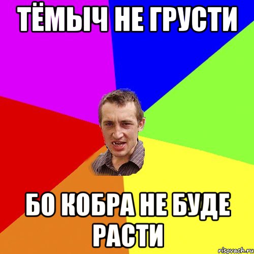 Тёмыч не грусти Бо кобра не буде расти, Мем Чоткий паца
