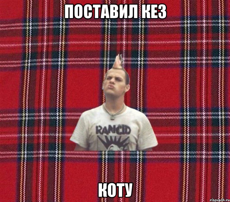 поставил кез коту