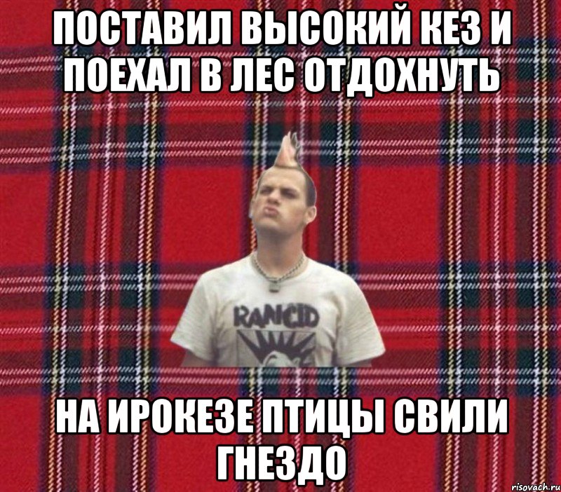 поставил высокий кез и поехал в лес отдохнуть на ирокезе птицы свили гнездо