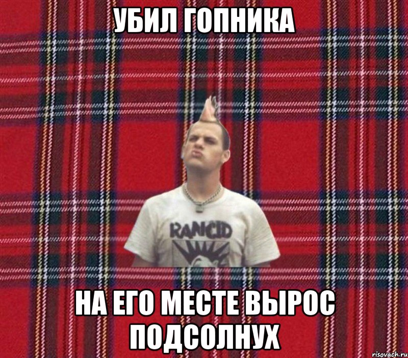 убил гопника на его месте вырос подсолнух