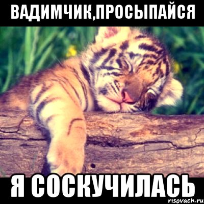 Вадимчик,просыпайся Я соскучилась, Мем пар3