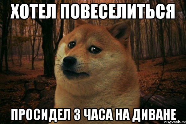 Хотел повеселиться Просидел 3 часа на диване, Мем SAD DOGE