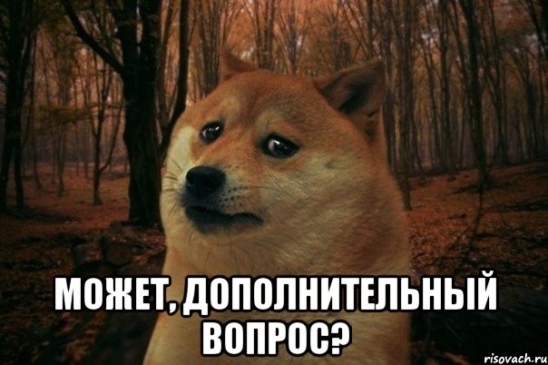  может, дополнительный вопрос?, Мем SAD DOGE