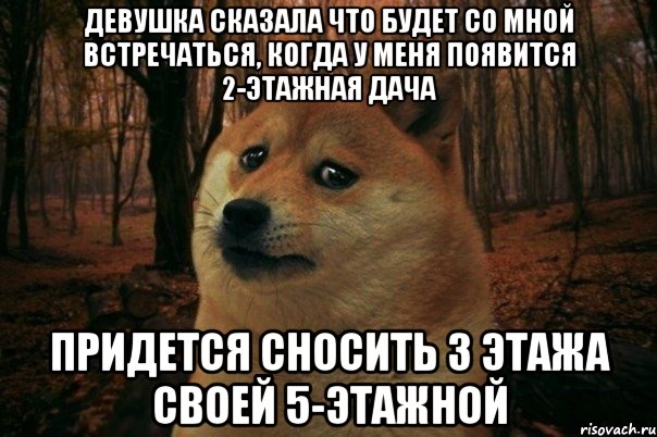 девушка сказала что будет со мной встречаться, когда у меня появится 2-этажная дача придется сносить 3 этажа своей 5-этажной, Мем SAD DOGE