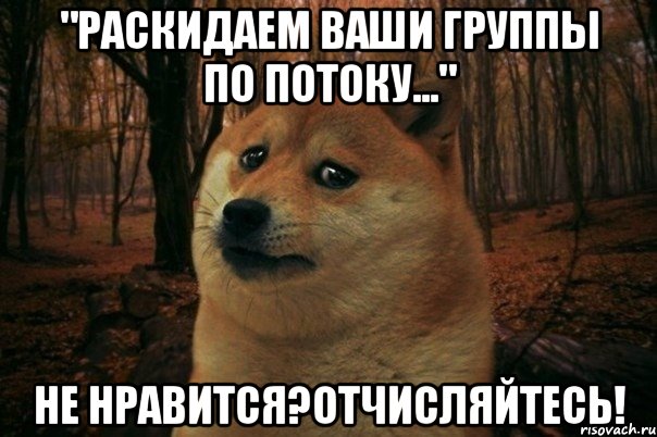 "Раскидаем ваши группы по потоку..." Не нравится?Отчисляйтесь!, Мем SAD DOGE