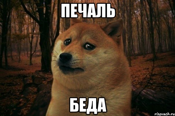 Печаль Беда, Мем SAD DOGE