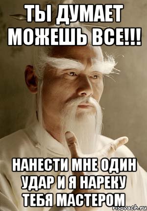 ты думает можешь все!!! нанести мне один удар и я нареку тебя мастером