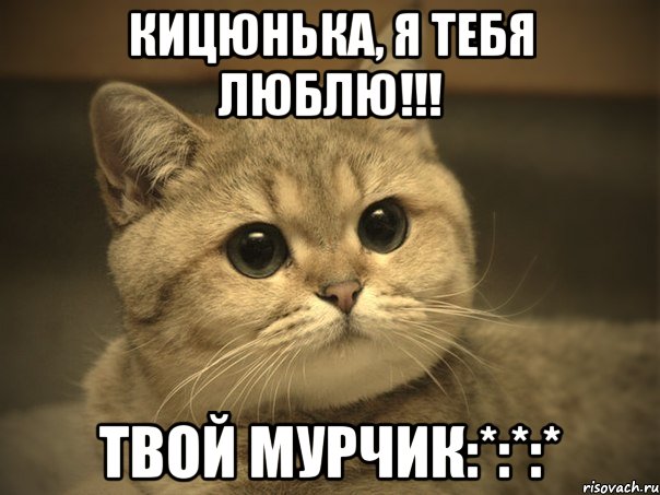 Кицюнька, я тебя люблю!!! Твой мурчик:*:*:*, Мем Пидрила ебаная котик