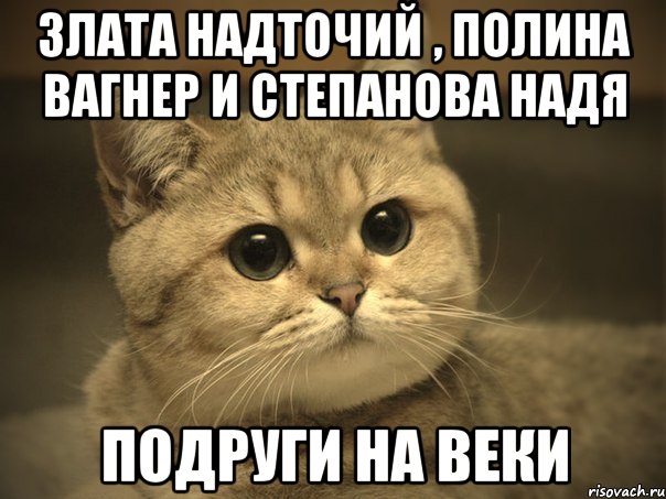 Злата Надточий , Полина Вагнер и Степанова Надя подруги на веки, Мем Пидрила ебаная котик