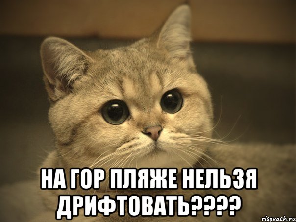  На гор пляже нельзя дрифтовать????, Мем Пидрила ебаная котик