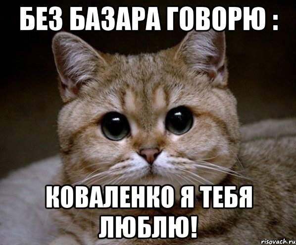 Без базара говорю : Коваленко я тебя люблю!, Мем Пидрила Ебаная