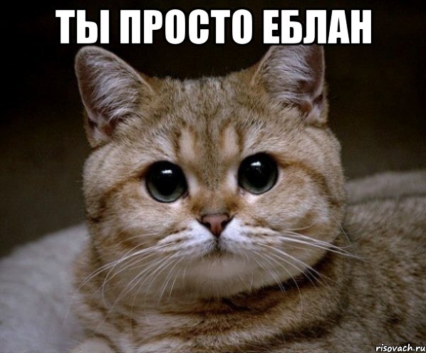 ты просто еблан , Мем Пидрила Ебаная