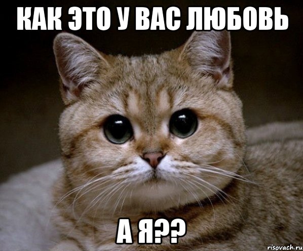 как это у вас любовь а я??, Мем Пидрила Ебаная