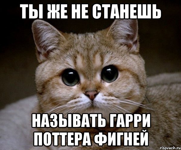 Ты же не станешь называть Гарри Поттера фигней, Мем Пидрила Ебаная