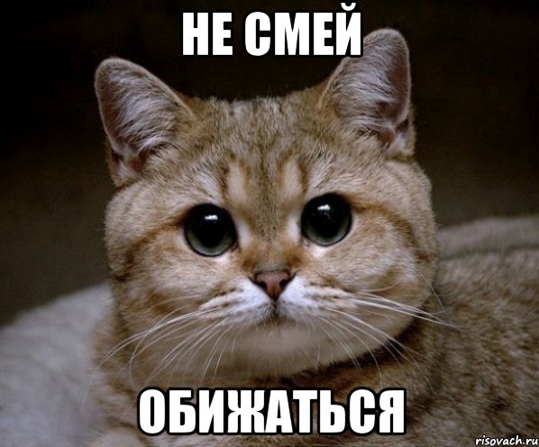 не смей обижаться, Мем Пидрила Ебаная