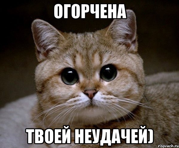 огорчена твоей неудачей), Мем Пидрила Ебаная
