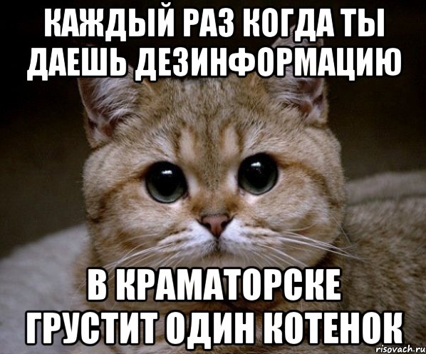 Каждый раз когда ты даешь дезинформацию в Краматорске грустит один котенок, Мем Пидрила Ебаная