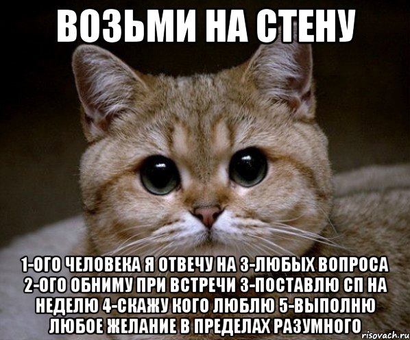 Возьми на стену 1-ого человека я отвечу на 3-любых вопроса 2-ого обниму при встречи 3-поставлю СП на неделю 4-скажу кого люблю 5-выполню любое желание в пределах разумного, Мем Пидрила Ебаная