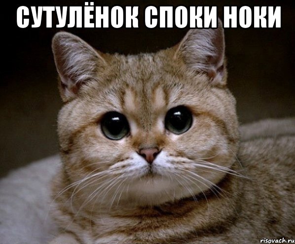 сутулёнок споки ноки , Мем Пидрила Ебаная