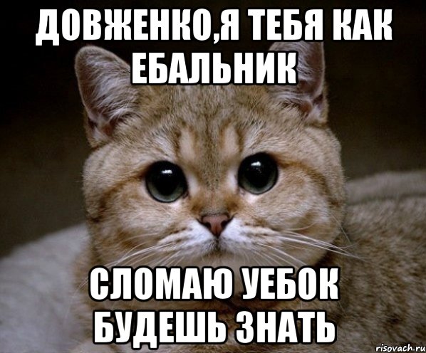 Довженко,я тебя как ебальник СЛОМАЮ УЕБОК БУДЕШЬ ЗНАТЬ, Мем Пидрила Ебаная