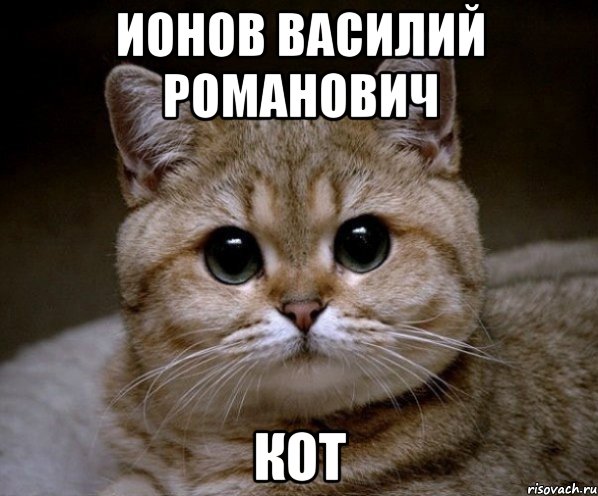 Ионов Василий Романович Кот, Мем Пидрила Ебаная