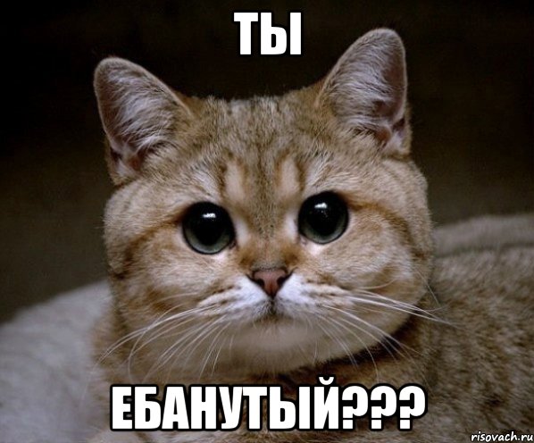 Ты Ебанутый???, Мем Пидрила Ебаная