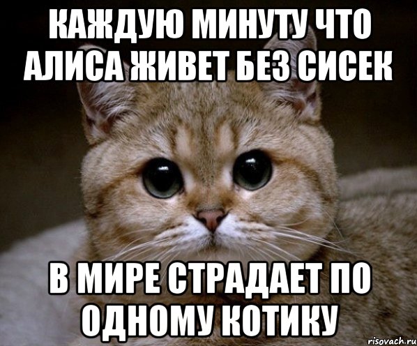 Каждую минуту что Алиса живет без сисек В мире страдает по одному котику, Мем Пидрила Ебаная