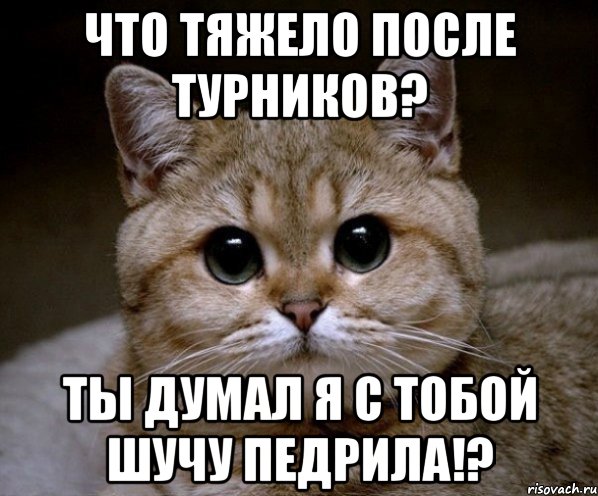 Что тяжело после турников? Ты думал я с тобой шучу педрила!?, Мем Пидрила Ебаная