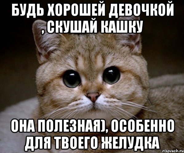 Будь хорошей девочкой , скушай кашку Она полезная), особенно для твоего желудка, Мем Пидрила Ебаная