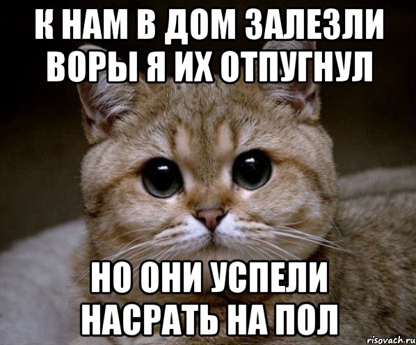 К НАМ В ДОМ ЗАЛЕЗЛИ ВОРЫ Я ИХ ОТПУГНУЛ НО ОНИ УСПЕЛИ НАСРАТЬ НА ПОЛ, Мем Пидрила Ебаная