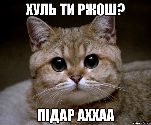хуль ти ржош? підар аххаа