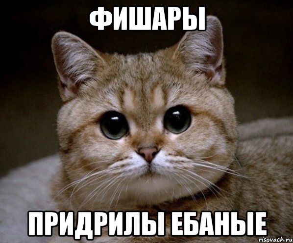 Фишары Придрилы ебаные