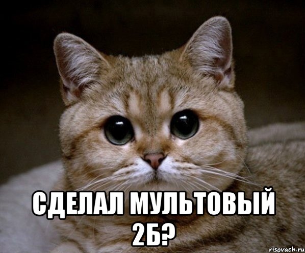  сделал мультовый 2б?