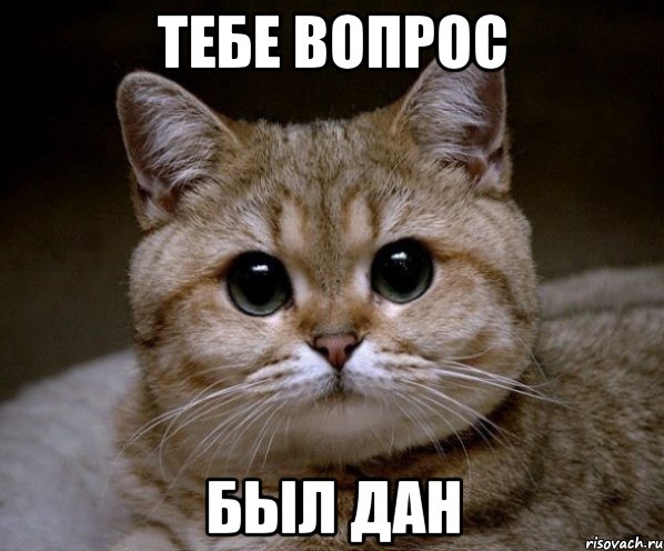 Тебе Вопрос был дан
