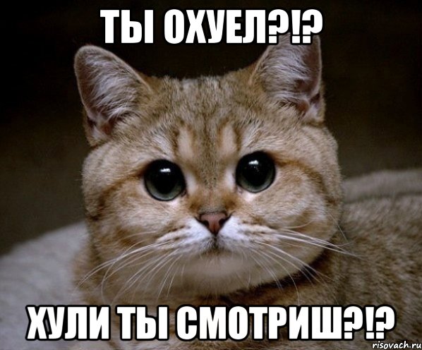 ты охуел?!? хули ты смотриш?!?, Мем Пидрила Ебаная