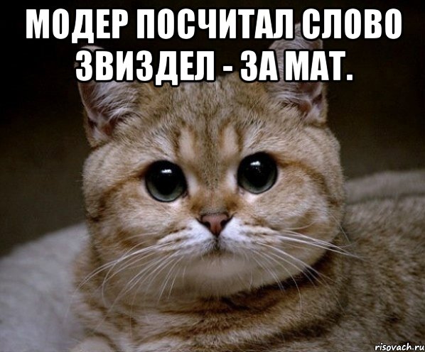 Модер посчитал слово Звиздел - За мат. , Мем Пидрила Ебаная