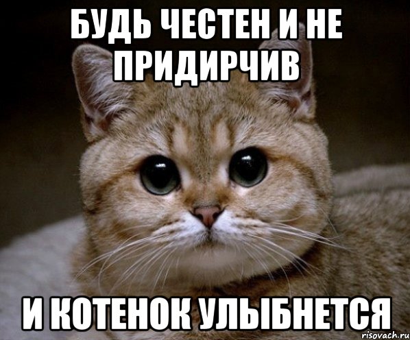Будь честен и не придирчив И котенок улыбнется, Мем Пидрила Ебаная