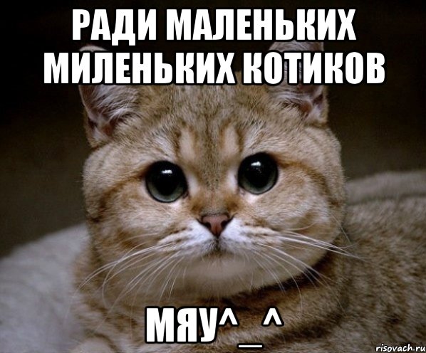 Ради маленьких миленьких котиков Мяу^_^, Мем Пидрила Ебаная