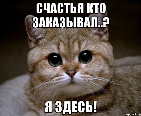 счастья кто заказывал..? я здесь!, Мем Пидрила Ебаная