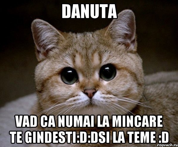 Danuta Vad ca numai la mincare te gindesti:D:Dsi la teme :D, Мем Пидрила Ебаная