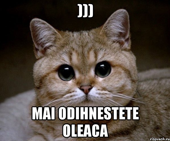 ))) mai odihnestete oleaca, Мем Пидрила Ебаная