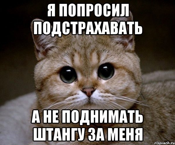 Я попросил подстрахавать А не поднимать штангу за меня, Мем Пидрила Ебаная