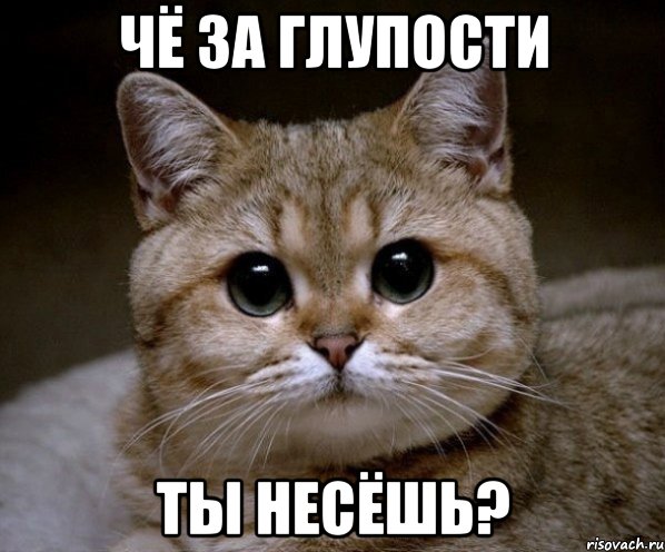 ЧЁ ЗА ГЛУПОСТИ ТЫ НЕСЁШЬ?, Мем Пидрила Ебаная