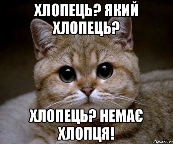 Хлопець? Який хлопець? Хлопець? Немає хлопця!, Мем Пидрила Ебаная