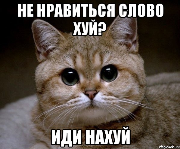 Не нравиться слово хуй? Иди нахуй, Мем Пидрила Ебаная