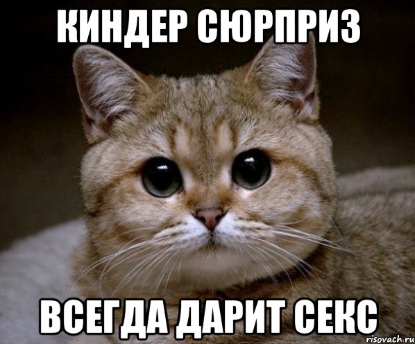 киндер сюрприз всегда дарит секс, Мем Пидрила Ебаная