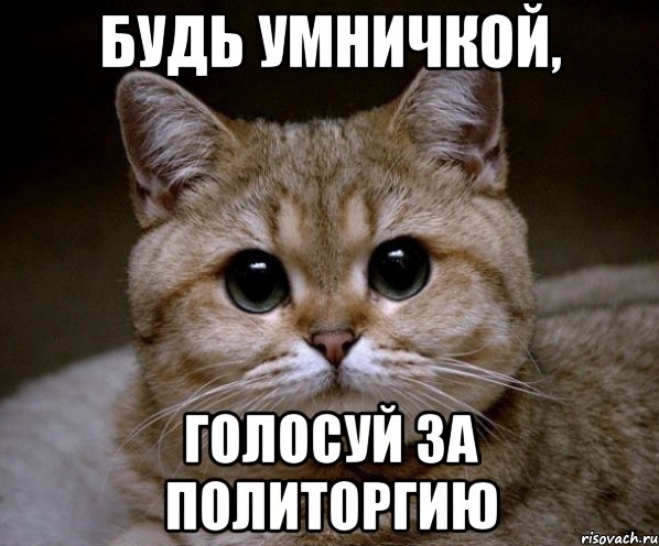 Будь умничкой, голосуй за Политоргию, Мем Пидрила Ебаная