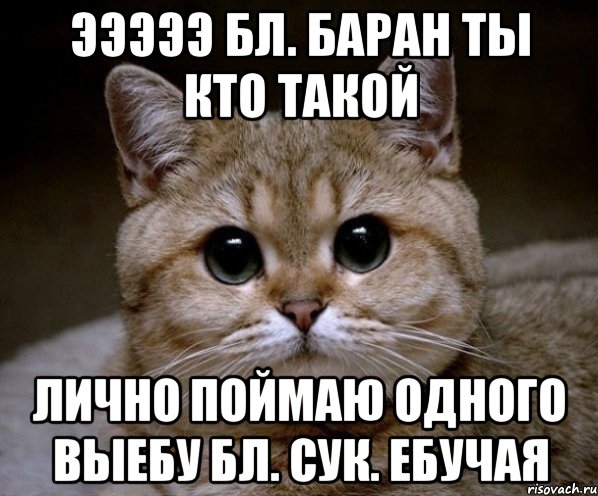 эээээ бл. баран ты кто такой лично поймаю одного выебу бл. сук. ебучая, Мем Пидрила Ебаная