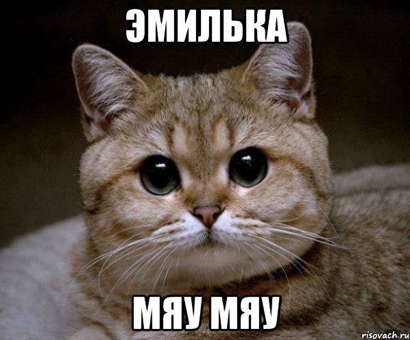 Эмилька мяу мяу, Мем Пидрила Ебаная